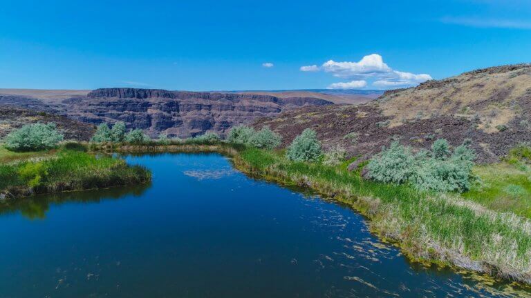 resized DJI_0055